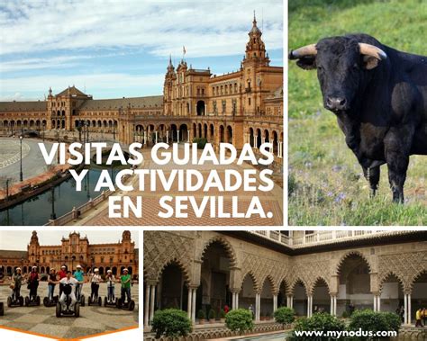 sevillacitas|Las mejores excursiones, visitas guiadas y actividades en Sevilla